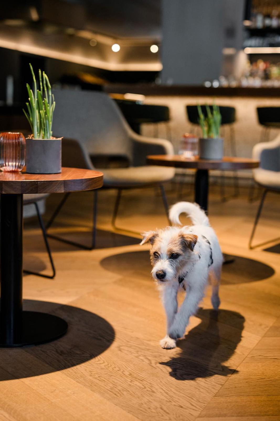 Hotel Bergzeit Grossarl Eksteriør bilde